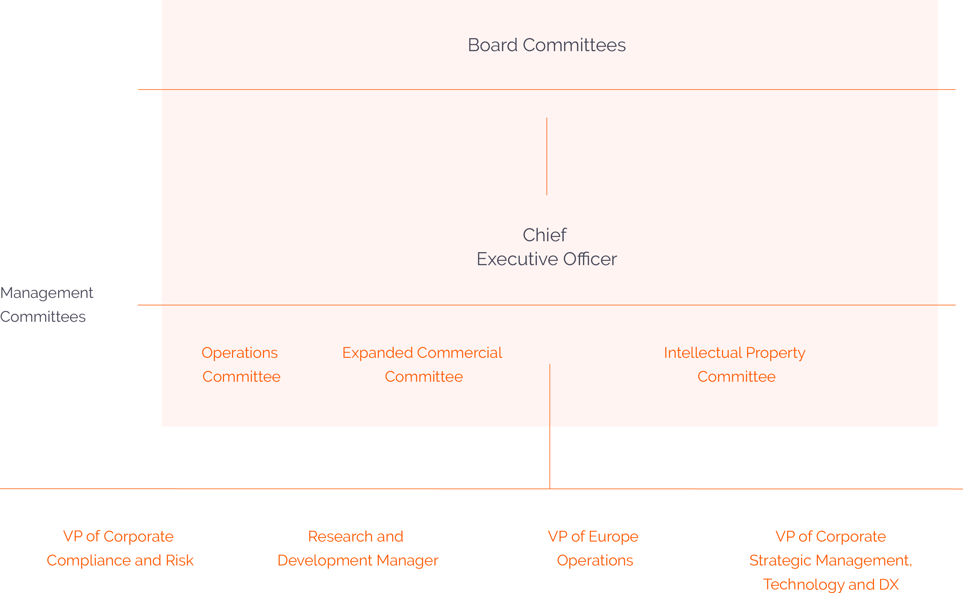 Estructura de Gobierno Corporativo 1