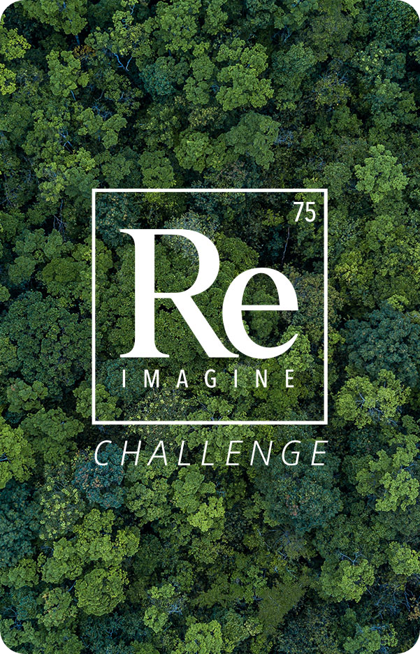 7. Re-Imagine Challenge