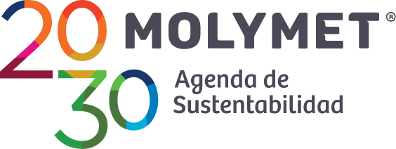 Logo Molymet - Agenda de Sustentabilidad 2030