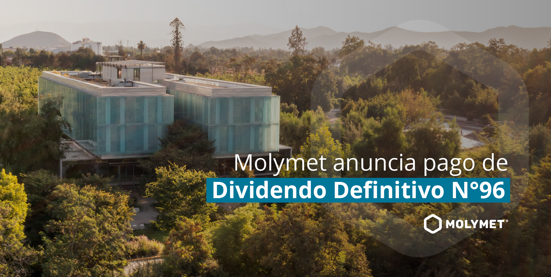 Molymet anuncia pago de Dividendo Definitivo N°96