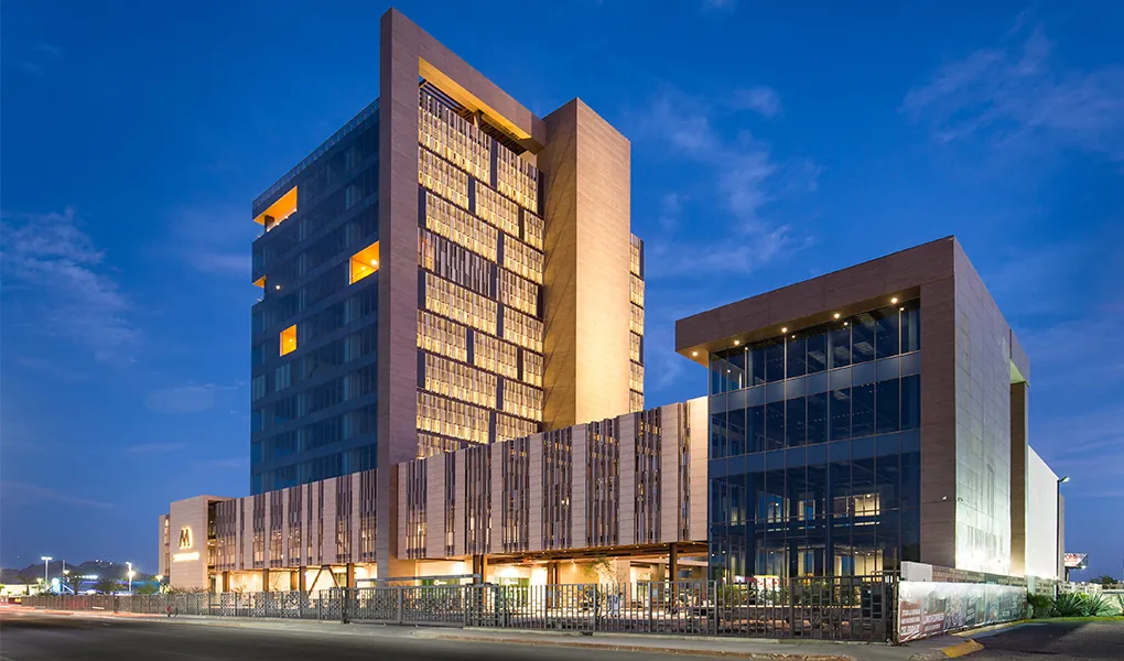 Molymet went international