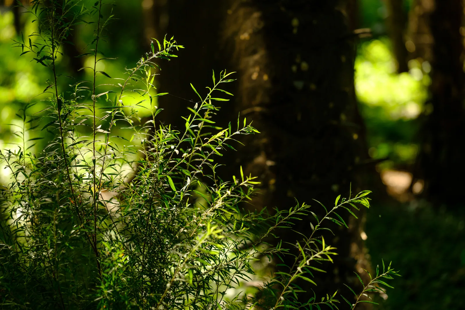 At the environmental and sustainability forefront
