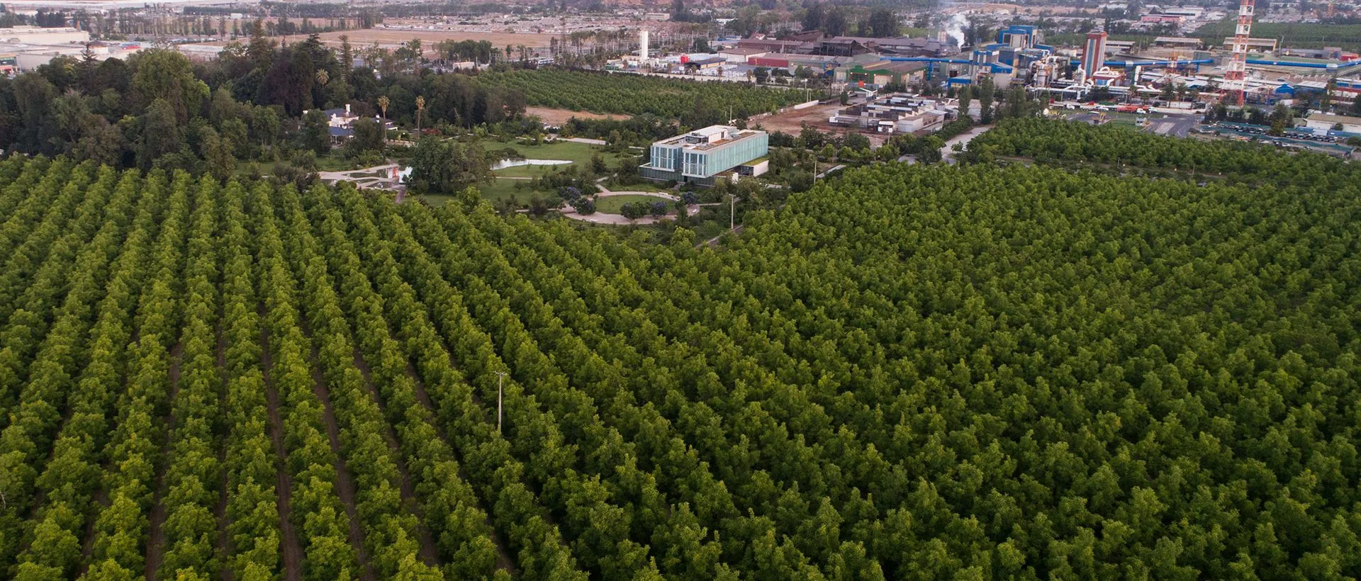 Environmental perspective