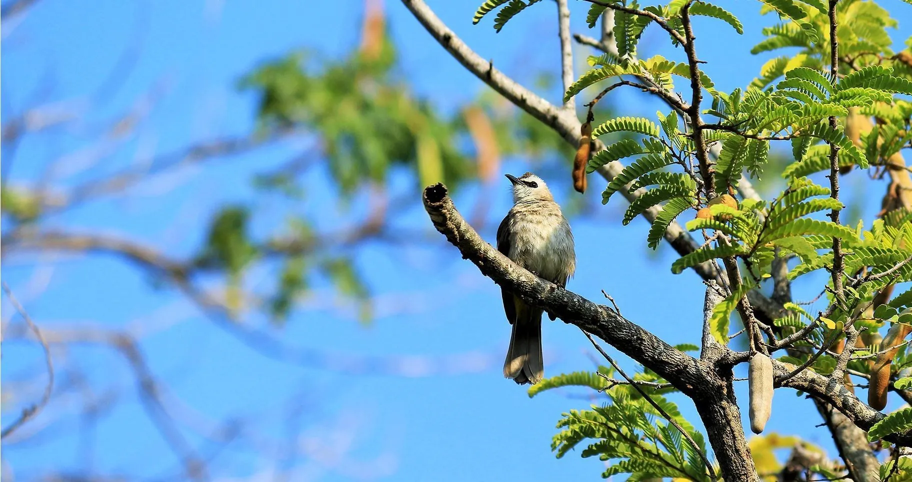 We protect the environment