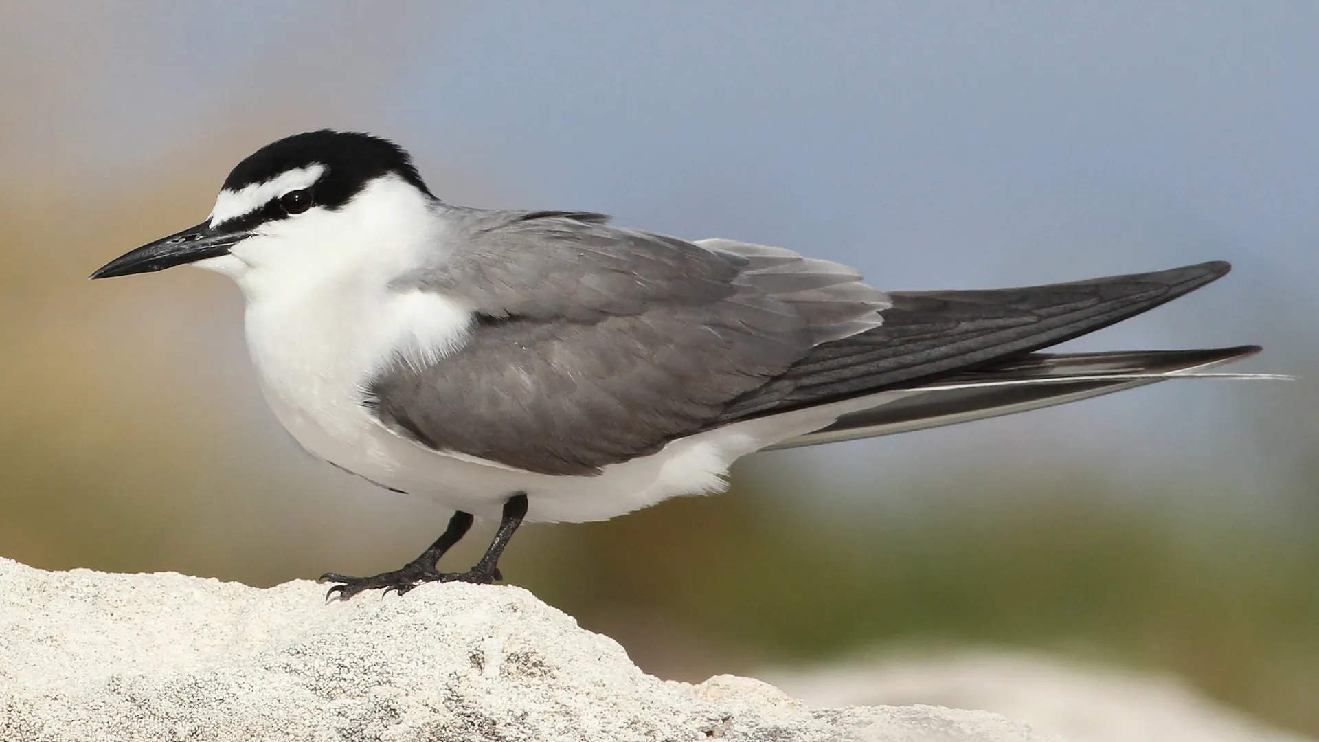 imagen noticia principal