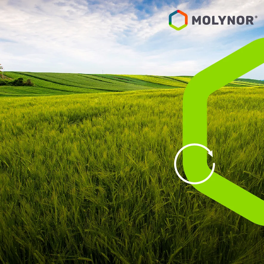 Economía Circular: comprometidos con la Sustentabilidad