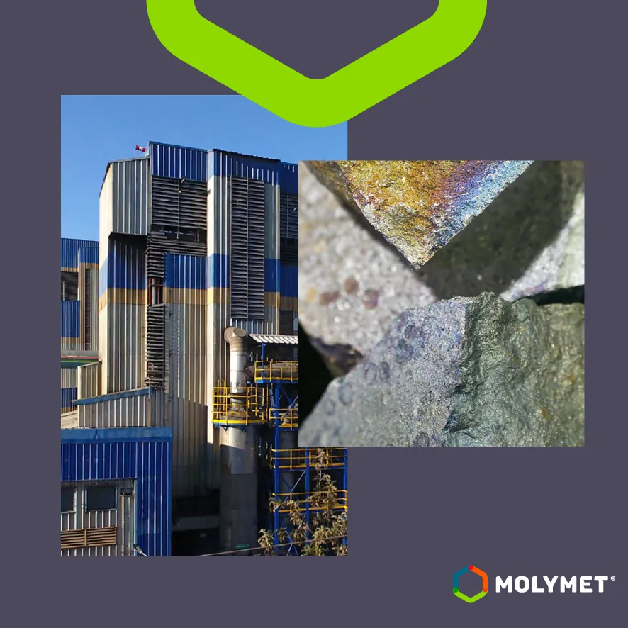 Compromiso con la sustentabilidad: Nuestra filial Molymet avanza en alternativas de valorización de residuos