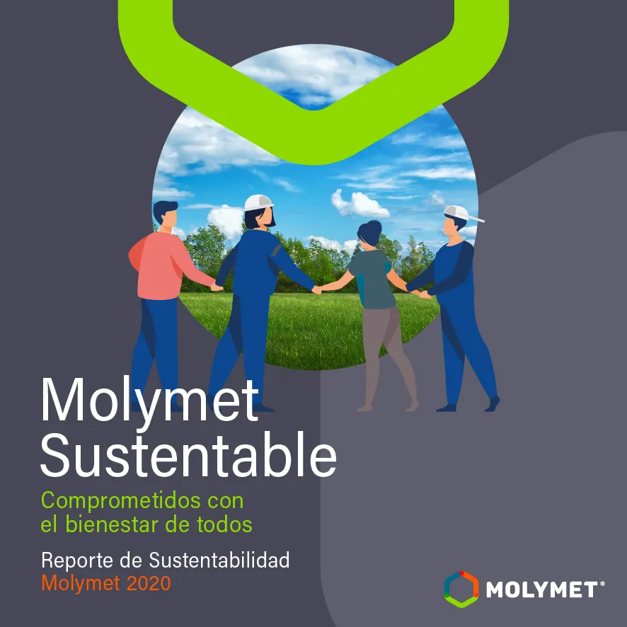 Reporte de Sustentabilidad 2020: Molymet sigue avanzando con miras al futuro