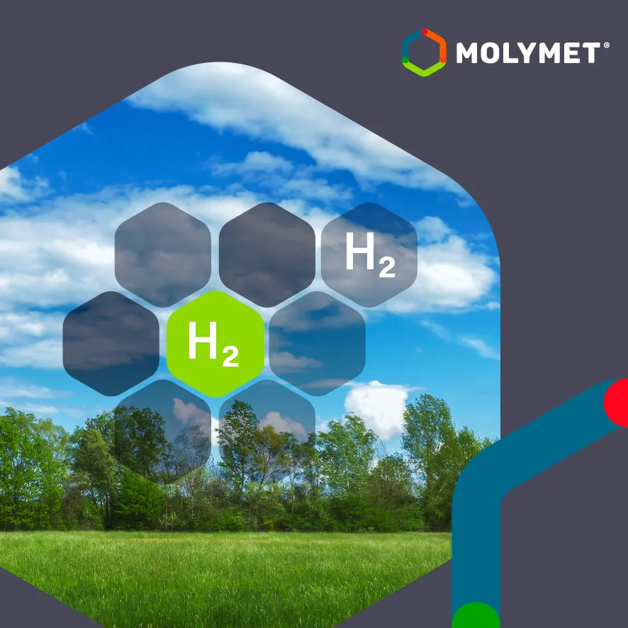 Molymet se incorporó a la asociación H2 Chile, para promover el uso del renio en la producción de hidrógeno verde