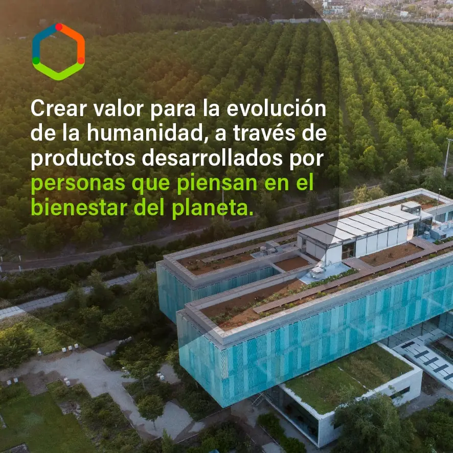 La co-construcción de nuestro Propósito con miras al futuro