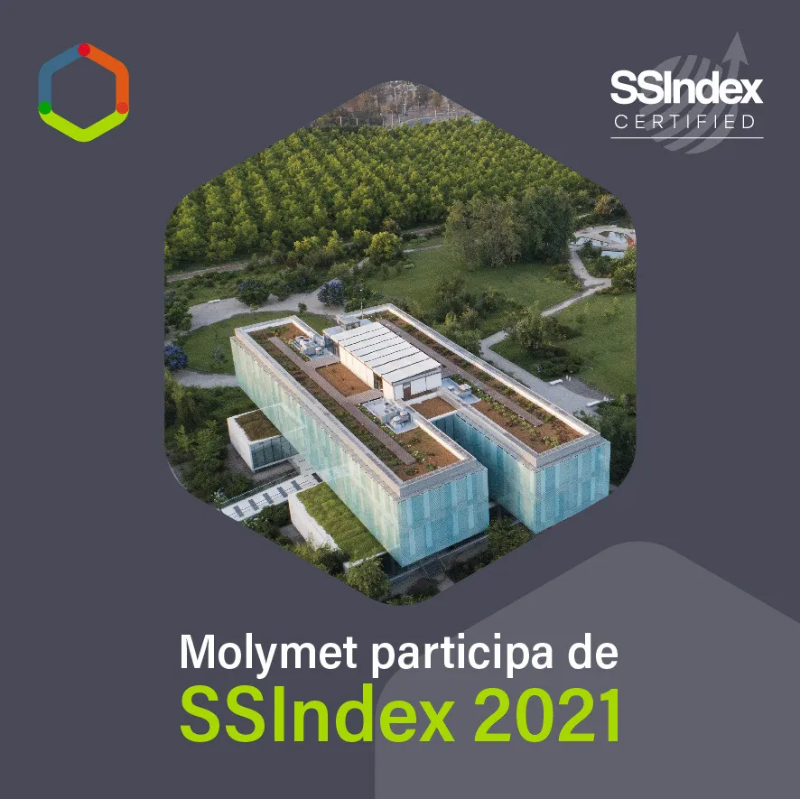 Molymet se posiciona sobre el promedio en todos los indicadores ESG con sus stakeholders
