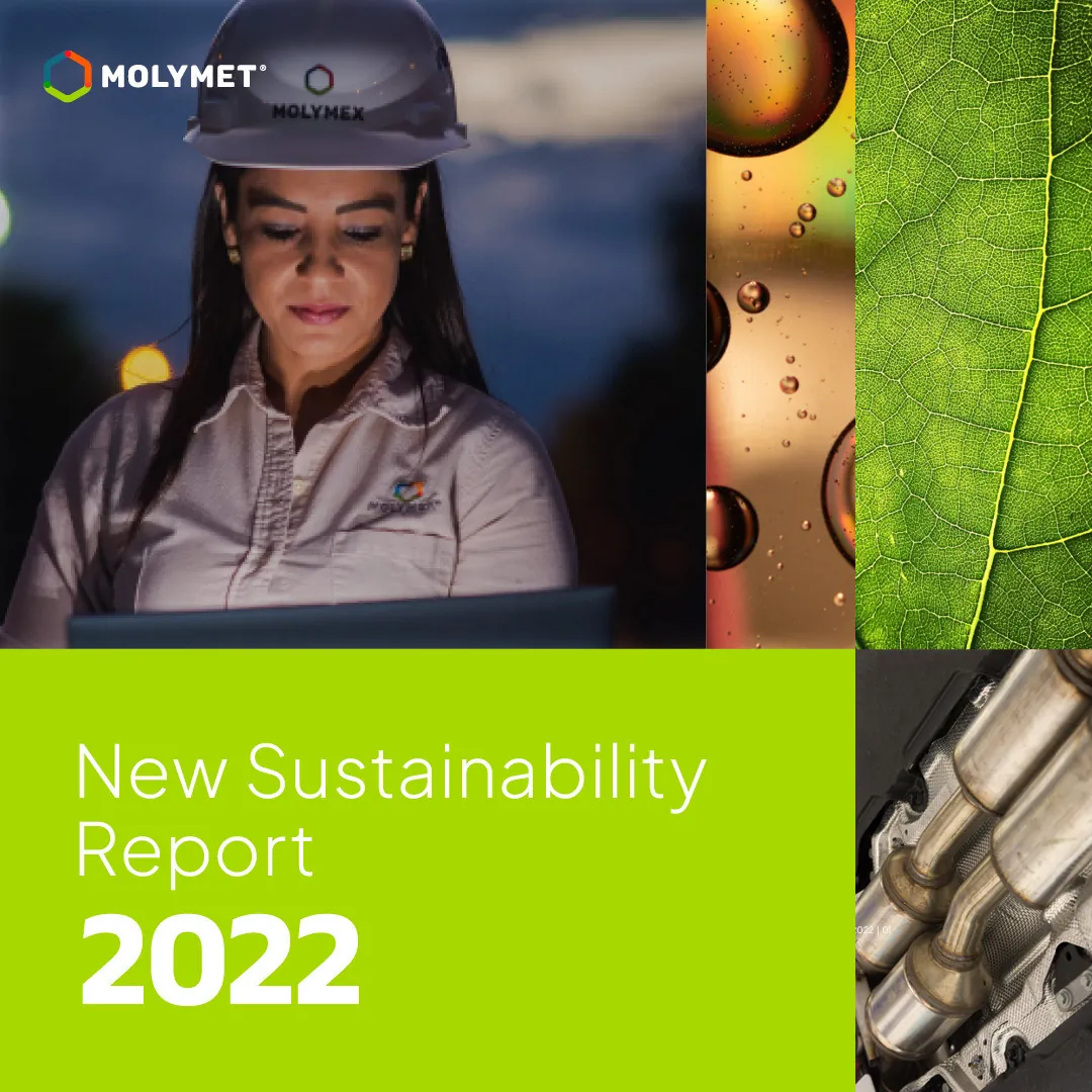 imagen noticia principal