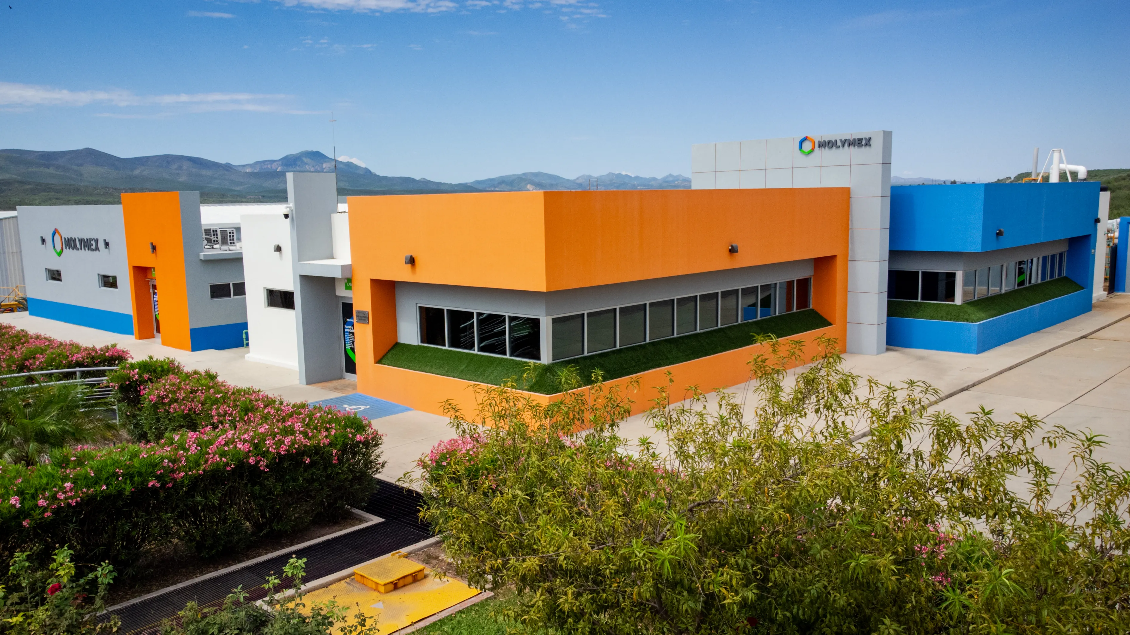 Positioning as one of the most innovative companies in Mexico